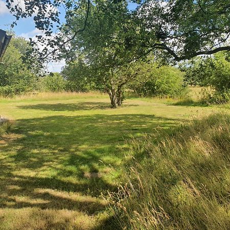 Skogsbaeckens Stugby Ab Vila Tomelilla Exterior foto