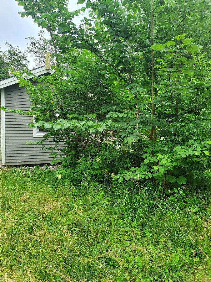 Skogsbaeckens Stugby Ab Vila Tomelilla Exterior foto