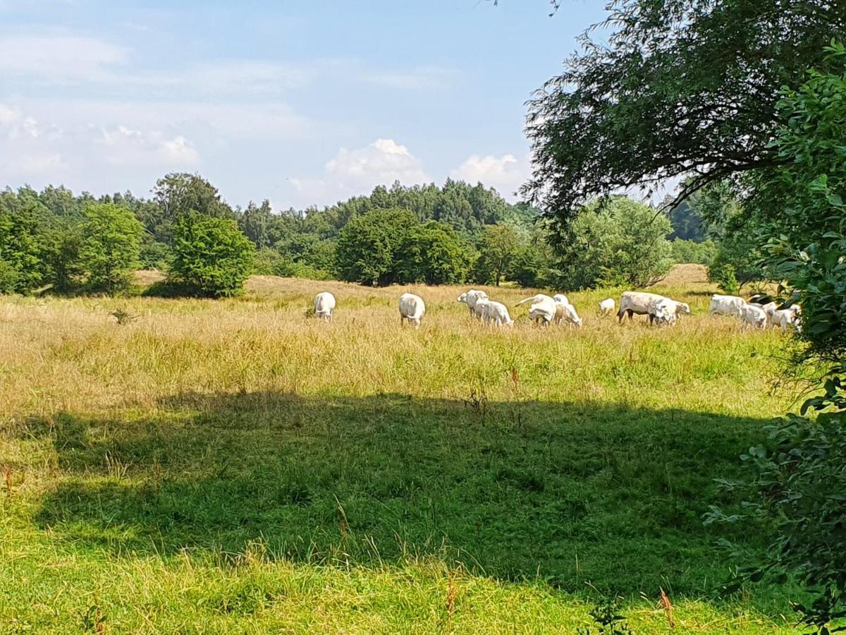 Skogsbaeckens Stugby Ab Vila Tomelilla Exterior foto